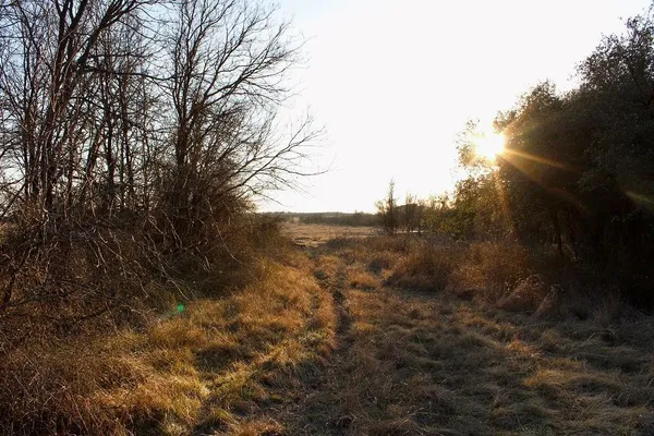 $145,000 | Lot 49 Tatanka Trail, Gustine, TX 76455