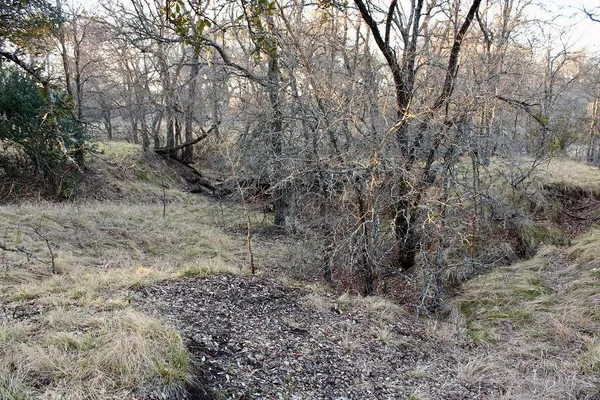 $145,000 | Lot 49 Tatanka Trail, Gustine, TX 76455