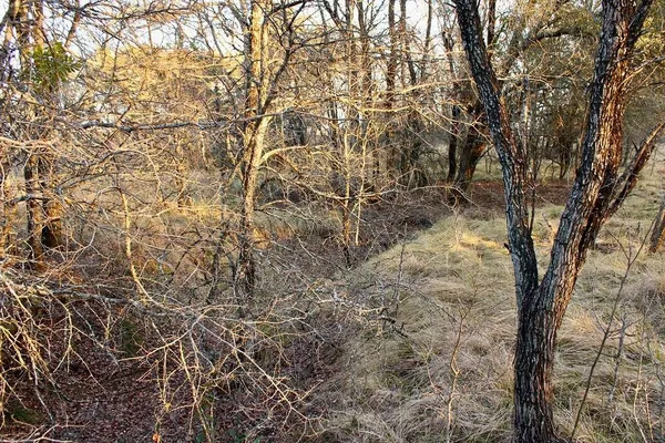 $145,000 | Lot 49 Tatanka Trail, Gustine, TX 76455