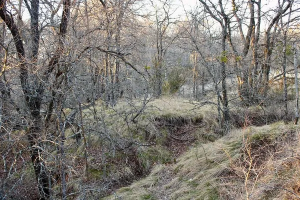 $145,000 | Lot 49 Tatanka Trail, Gustine, TX 76455