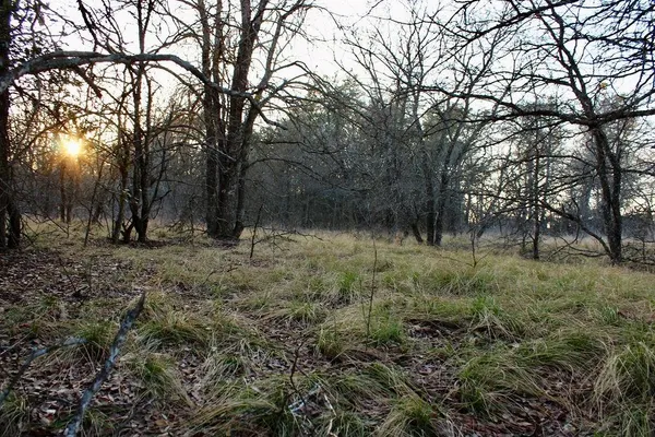 $145,000 | Lot 49 Tatanka Trail, Gustine, TX 76455