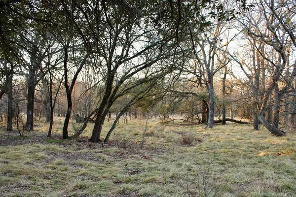 $145,000 | Lot 49 Tatanka Trail, Gustine, TX 76455