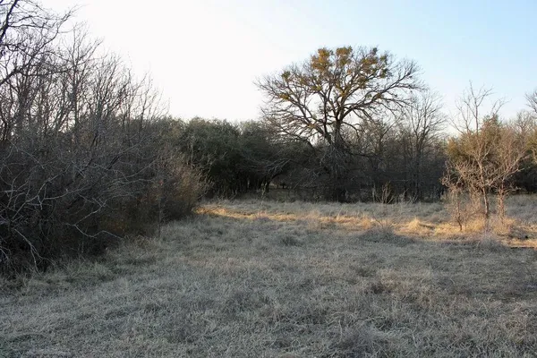 $145,000 | Lot 49 Tatanka Trail, Gustine, TX 76455