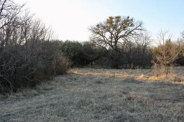 a view of outdoor space and trees