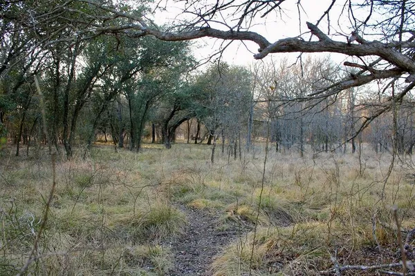 $145,000 | Lot 49 Tatanka Trail, Gustine, TX 76455