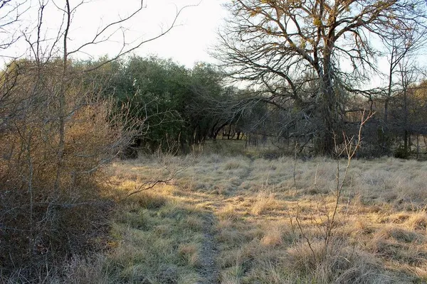 $145,000 | Lot 49 Tatanka Trail, Gustine, TX 76455