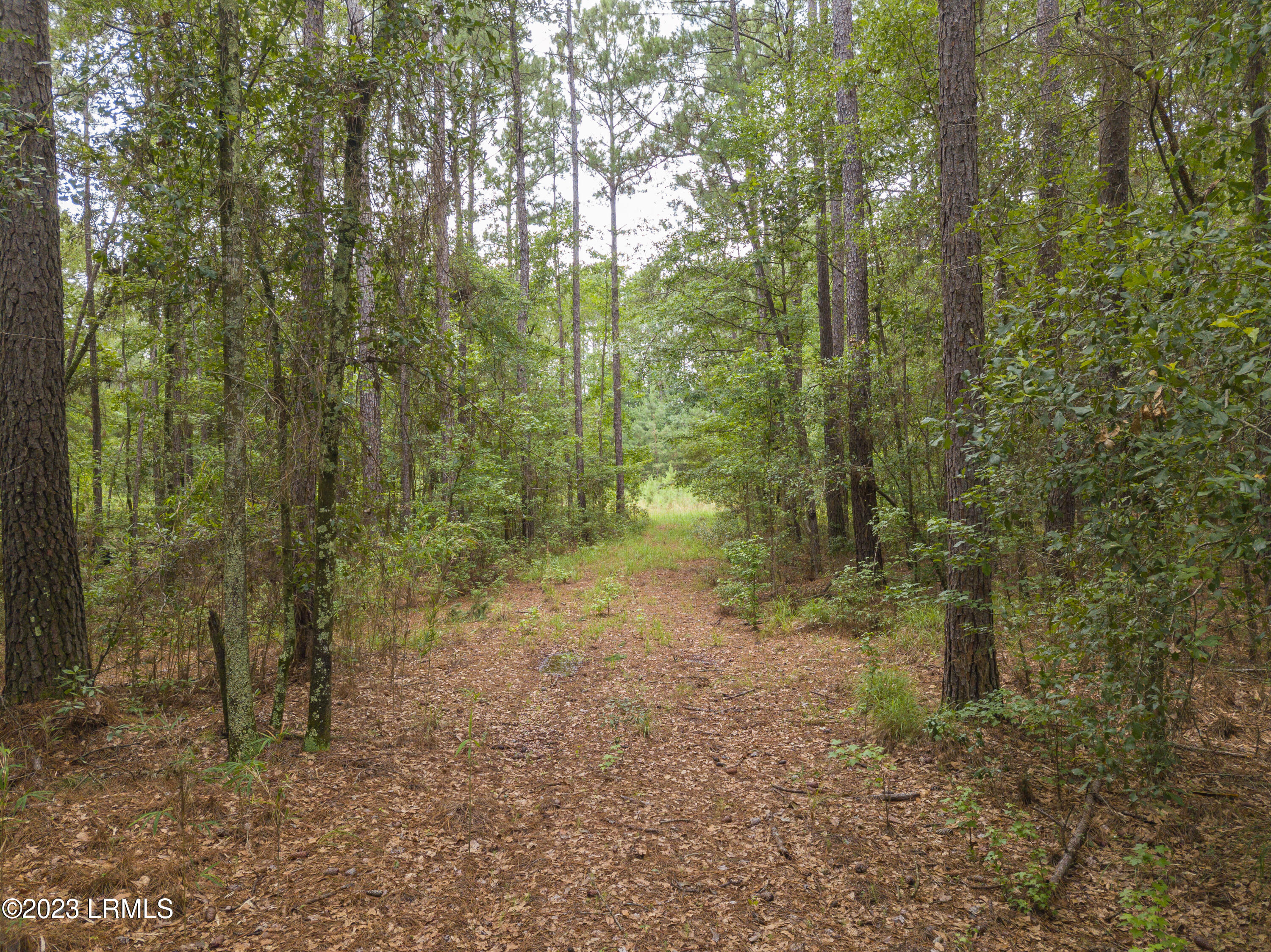 Tbd Church Road Hardeeville, SC 29927 - Photo 2 of 15 Church St Drone-15