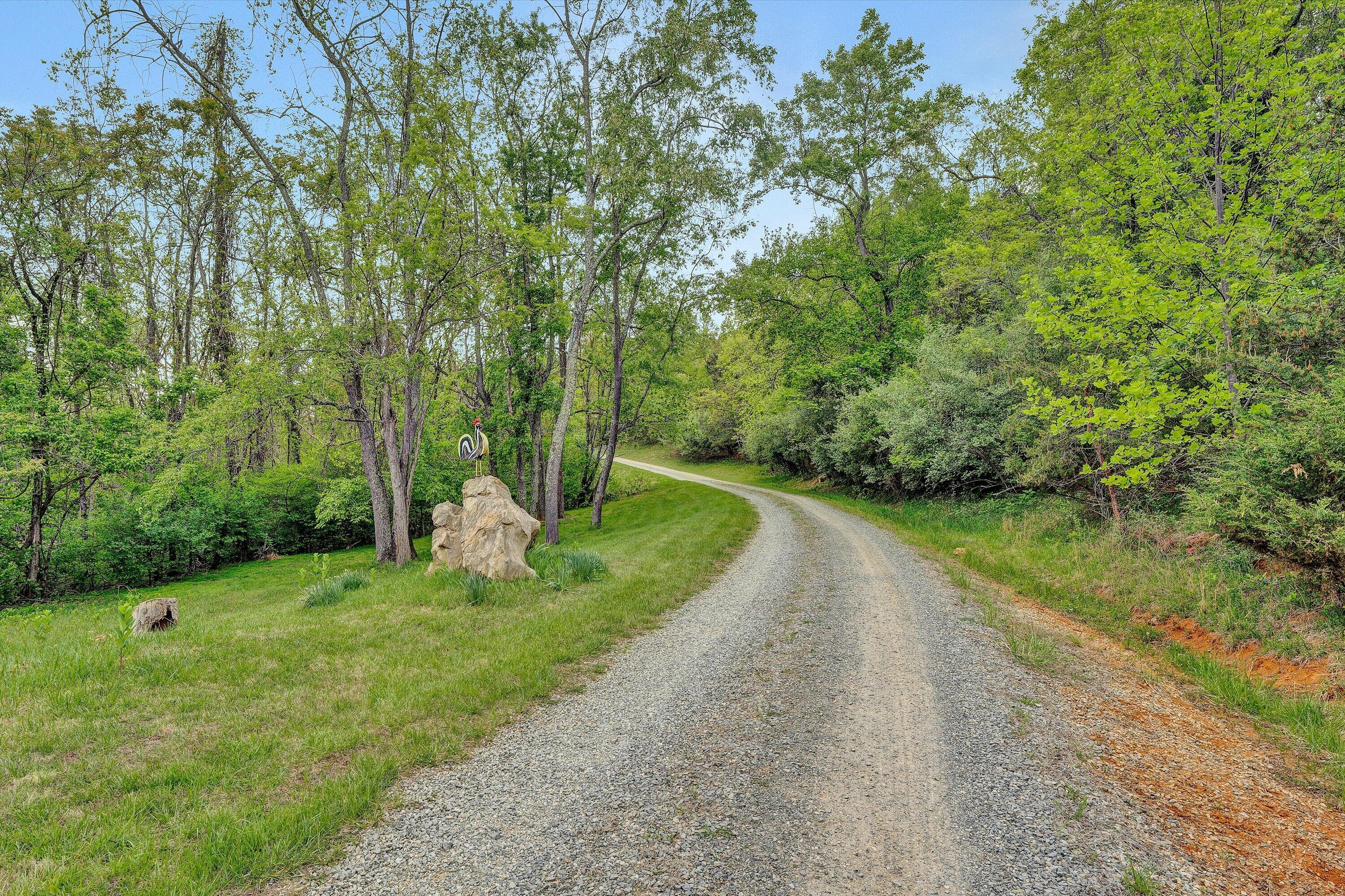 3281 Springwood Road Fincastle, VA 24090 - Photo 49 of 64 49-DSC00314