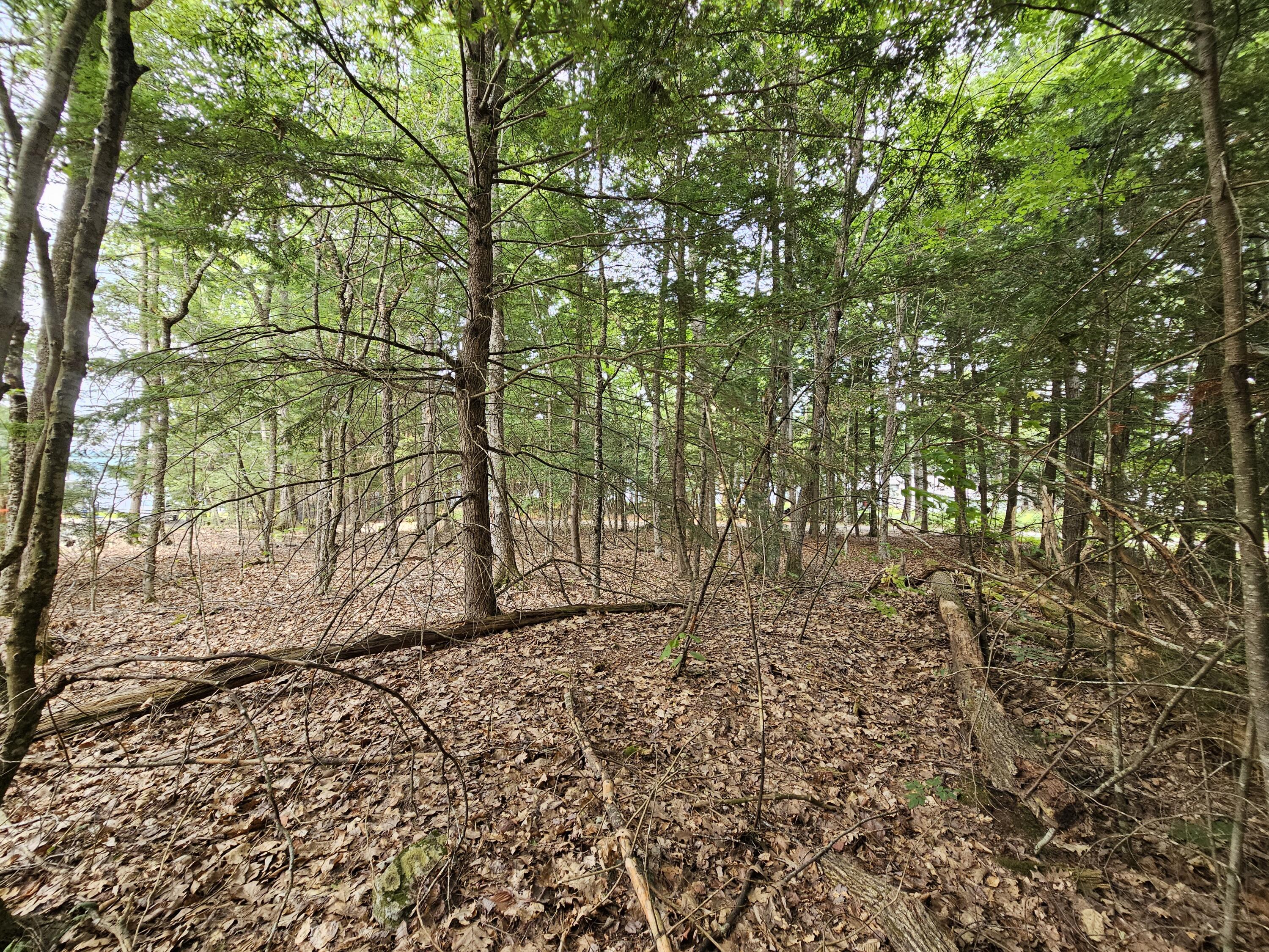 0 Gould Road Orono, ME 04473 - Photo 11 of 16 20250804_140144