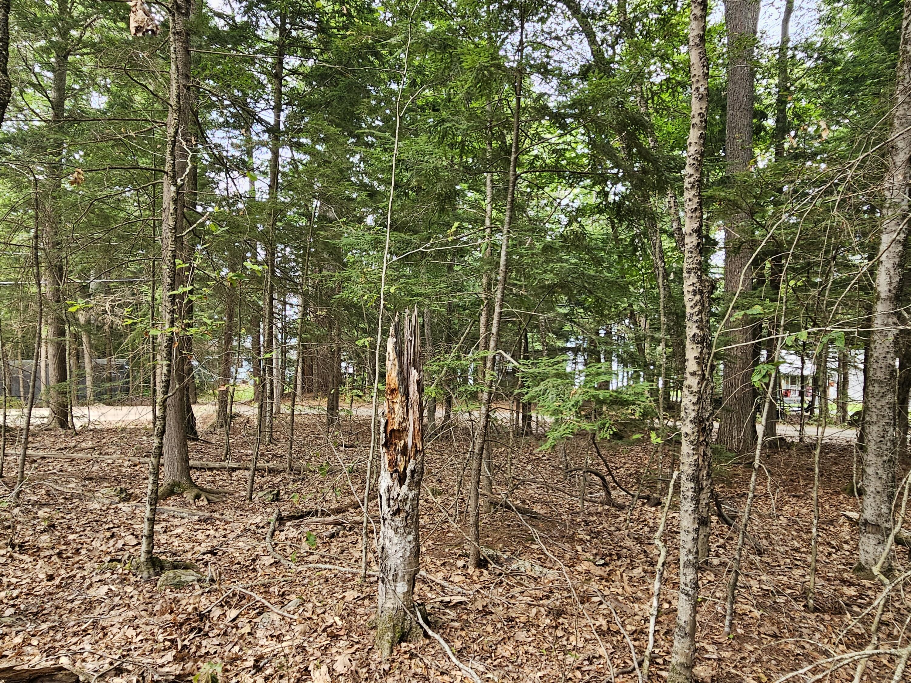 0 Gould Road Orono, ME 04473 - Photo 12 of 16 20250804_140219