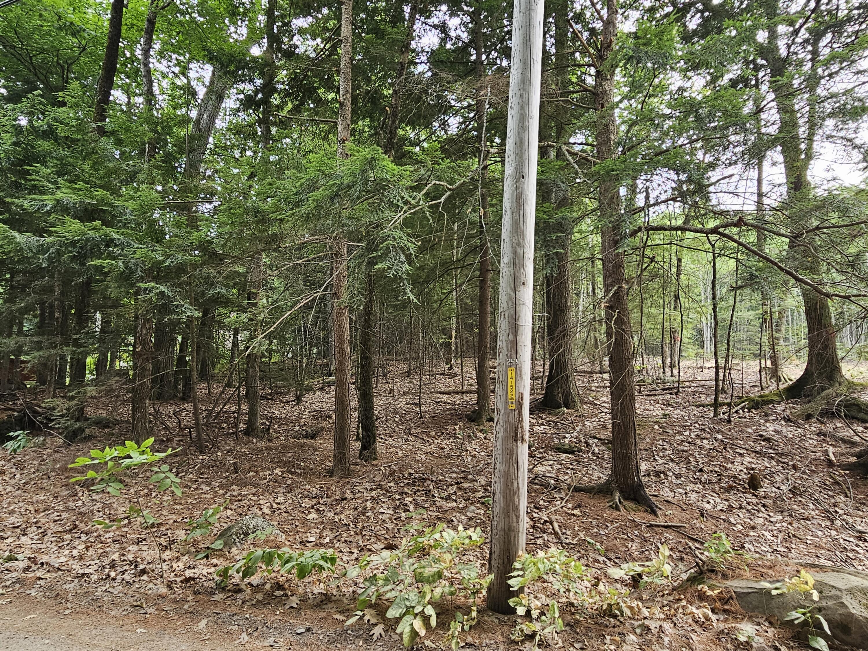 0 Gould Road Orono, ME 04473 - Photo 14 of 16 20250804_140317