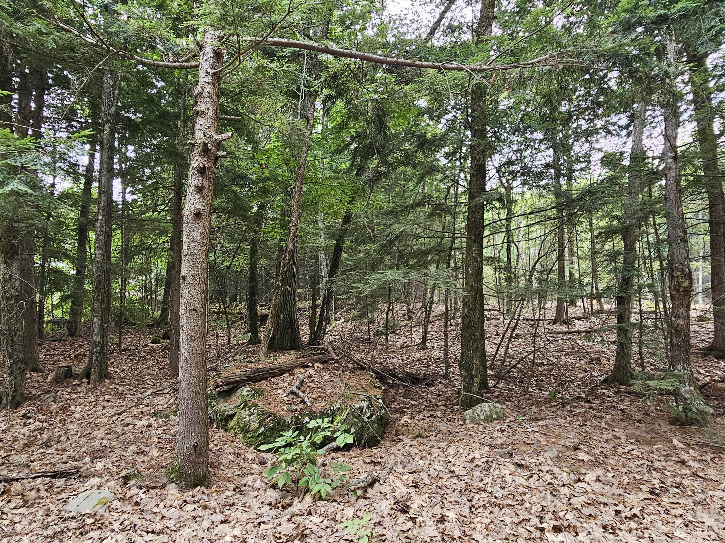 0 Gould Road Orono, ME 04473 - Photo 15 of 16 20250804_140330