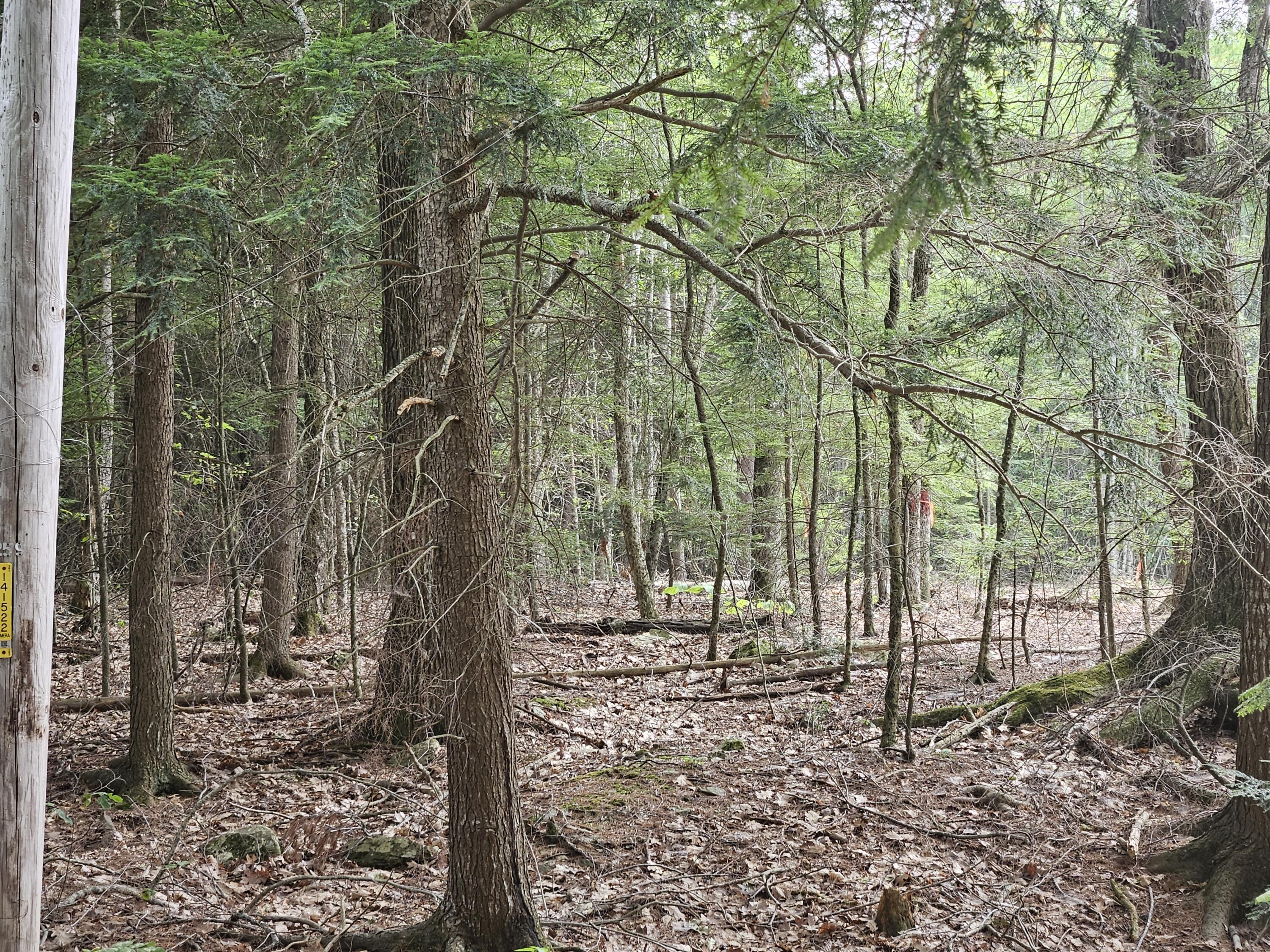 0 Gould Road Orono, ME 04473 - Photo 16 of 16 20250804_140603