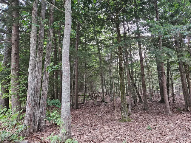 $75,000 | 0 Gould Road, Orono, ME 04473