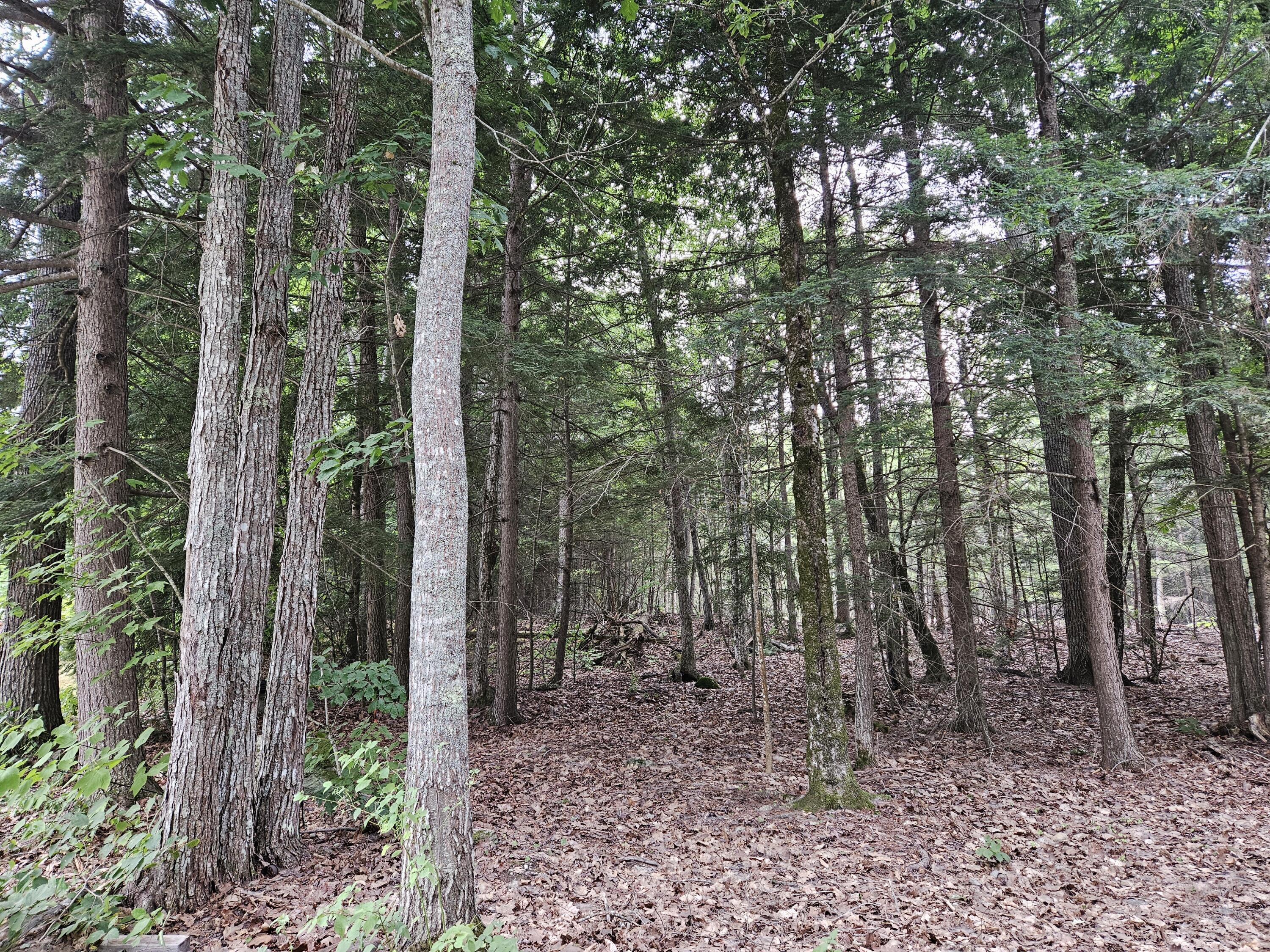 0 Gould Road Orono, ME 04473 - Photo 3 of 16 20250804_135630