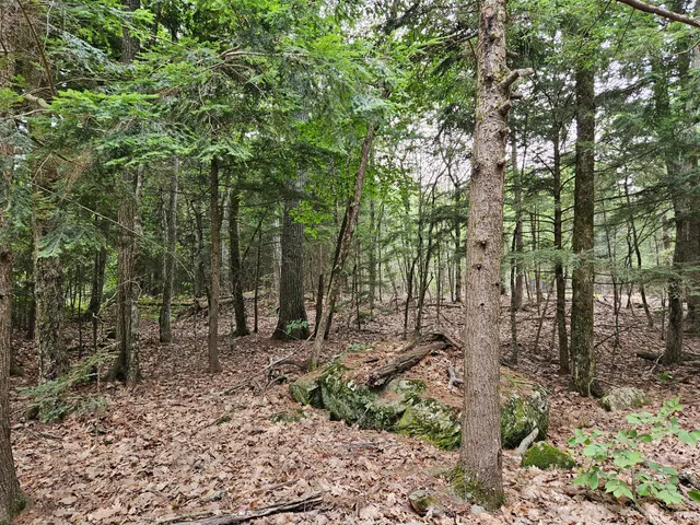 $75,000 | 0 Gould Road, Orono, ME 04473
