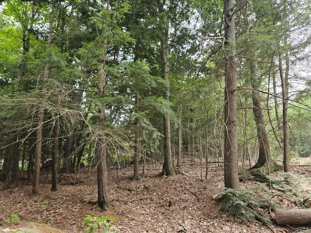 $75,000 | 0 Gould Road, Orono, ME 04473