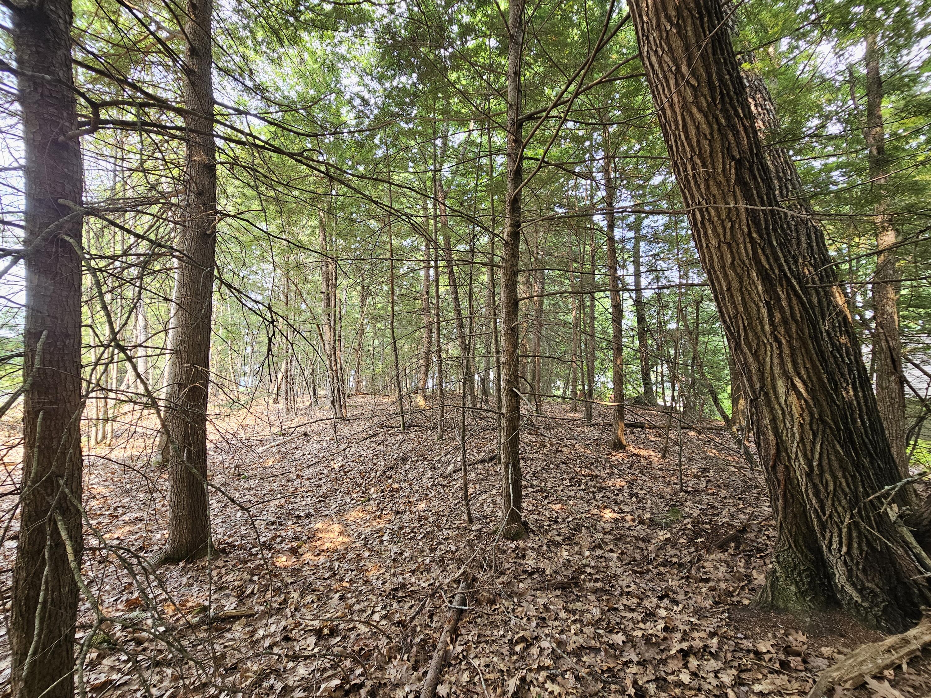 0 Gould Road Orono, ME 04473 - Photo 9 of 16 20250804_140048