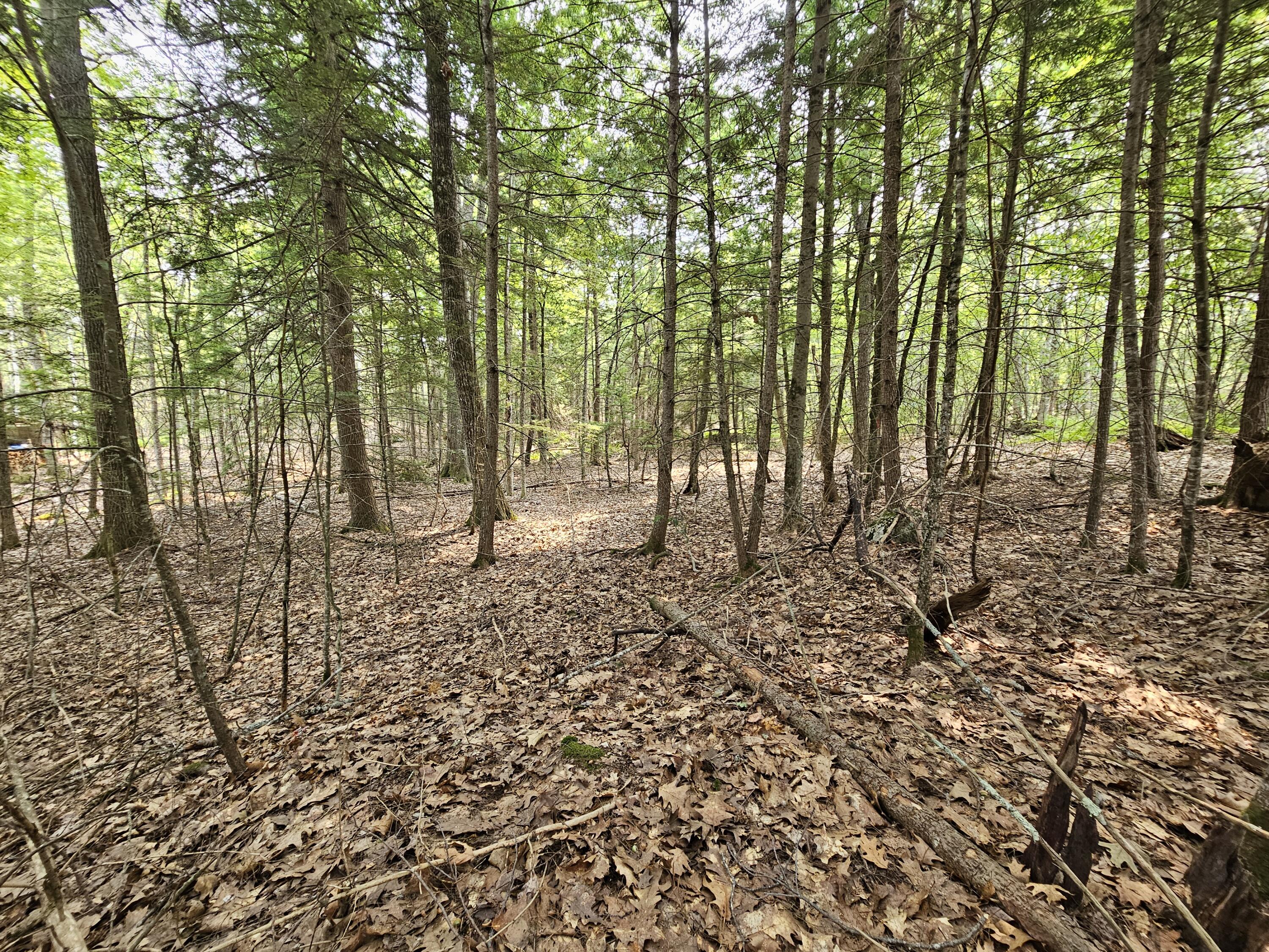 0 Gould Road Orono, ME 04473 - Photo 10 of 16 20250804_140110