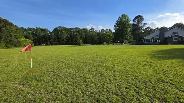 950 Brashum Road Aiken, SC 29803 - Photo 50 of 60