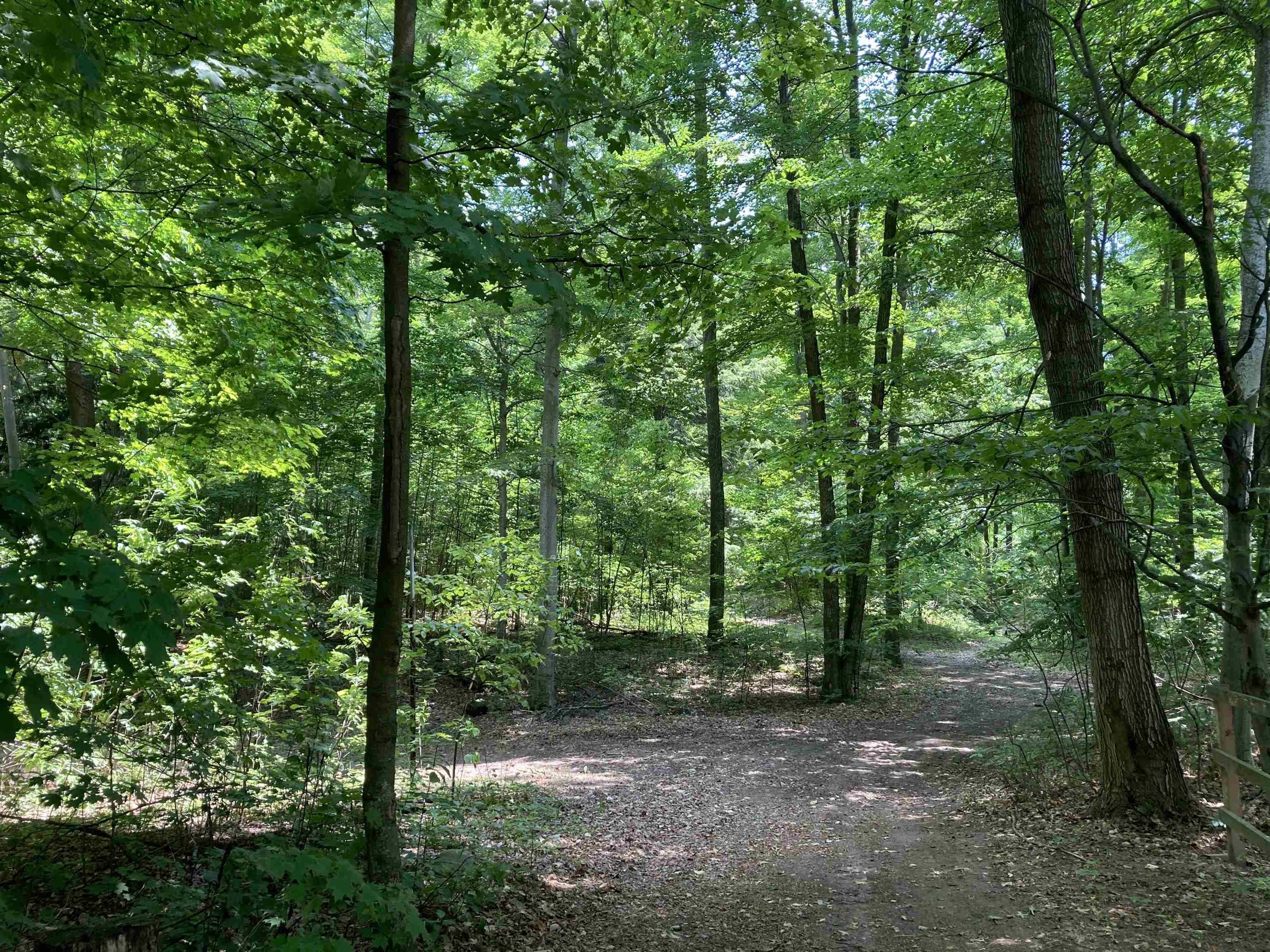 653 South Morrison Road West Branch, MI 48661 - Photo 13 of 44 1935316-434299e8-8273-439e-8afb-a660a4f85579.JPG