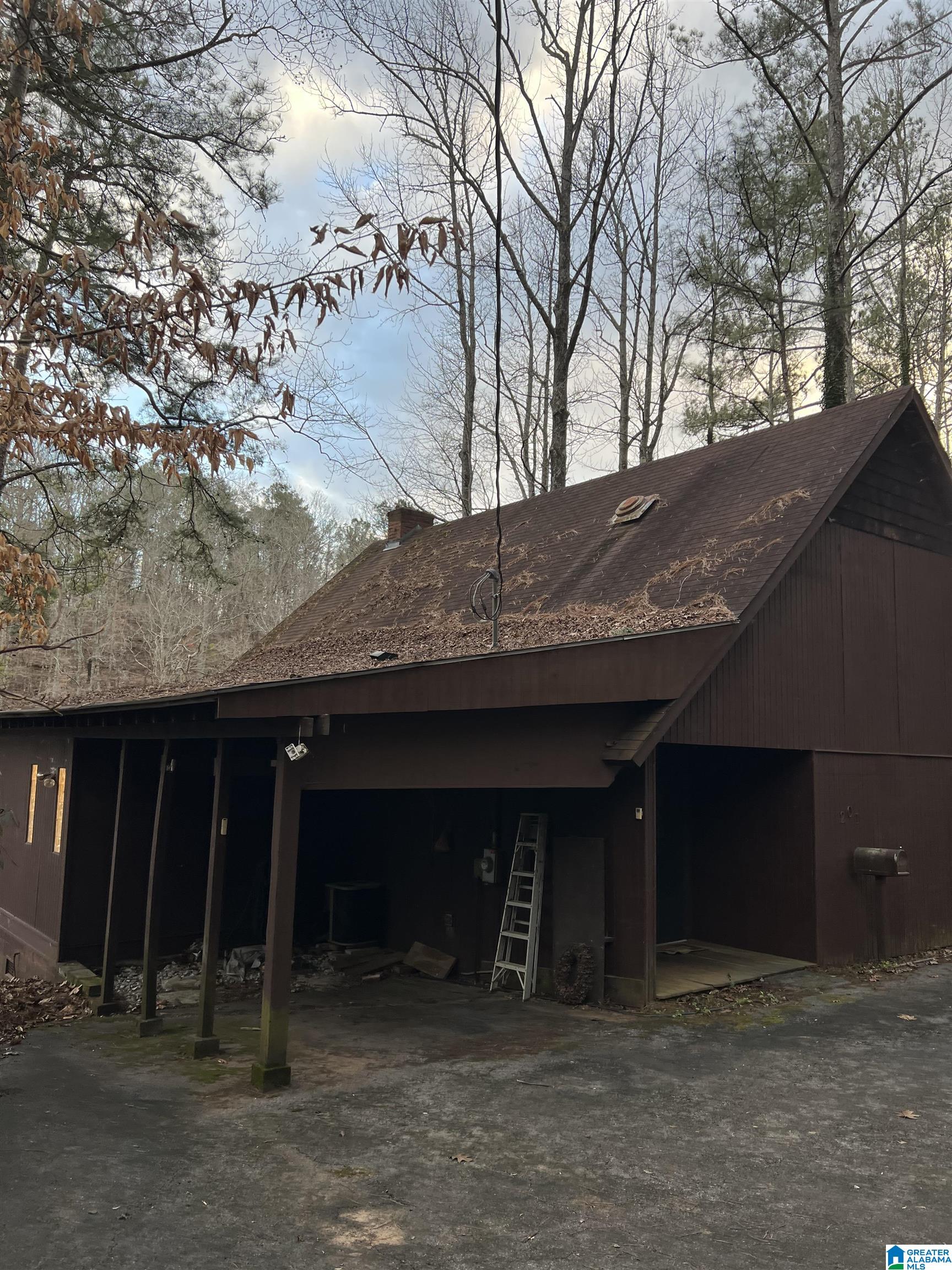 201 County Road 929 Delta, AL 36258 - Photo 4 of 8