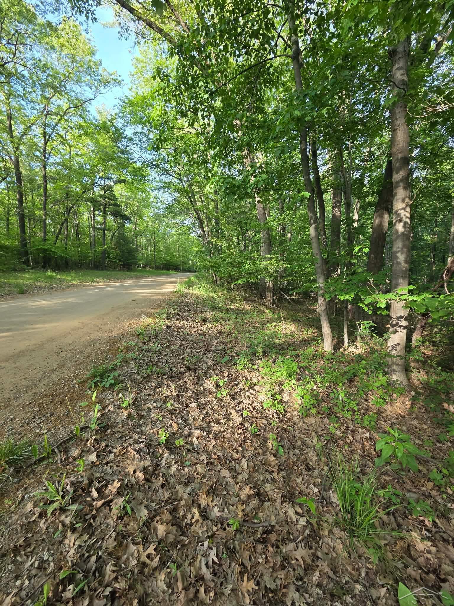2531 Weaver Road Port Austin, MI 48467 - Photo 1 of 9