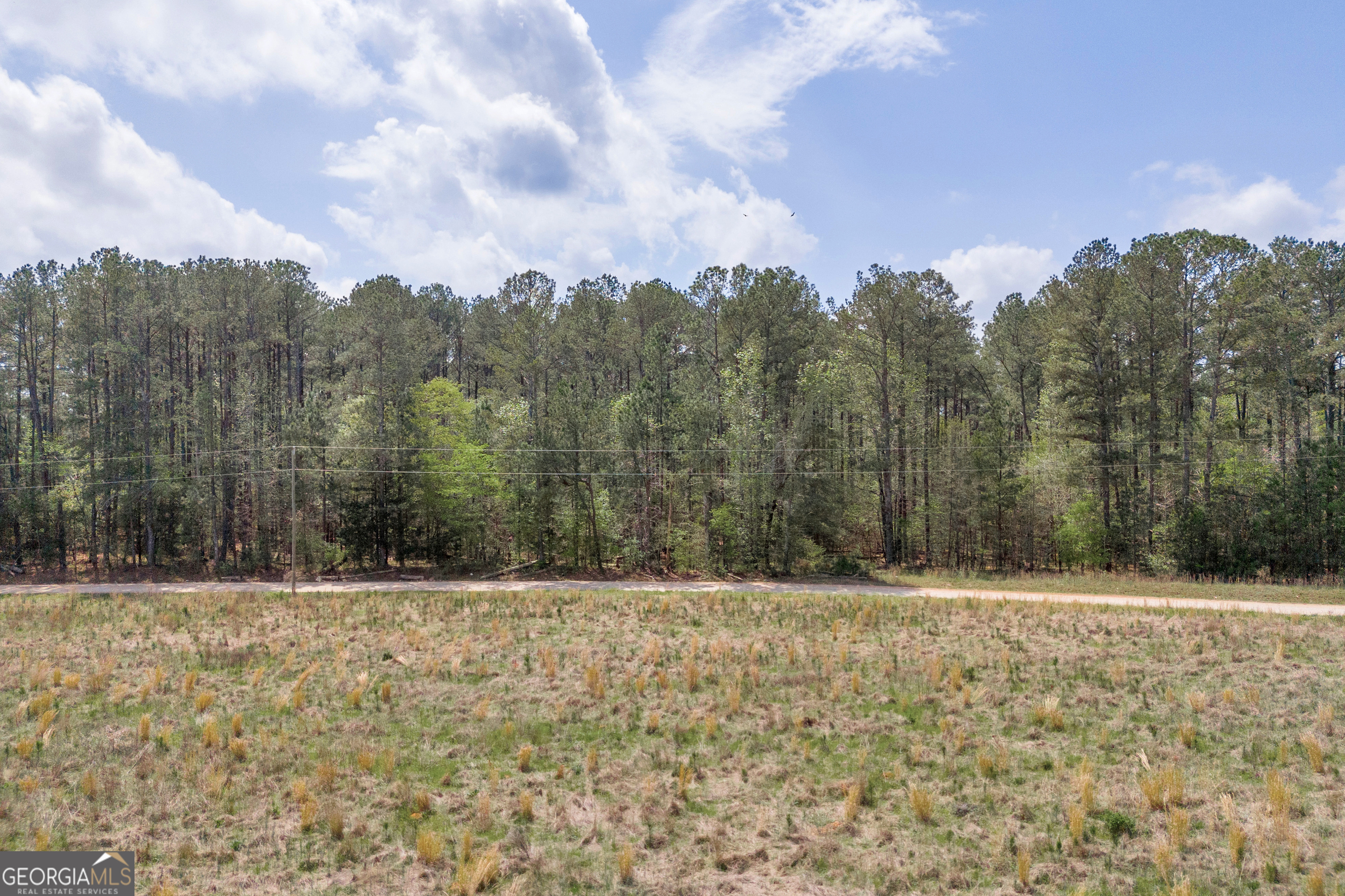 104 Howington Road Winterville, GA 30683 - Photo 40 of 74 a view of outdoor space with mountain in the background
