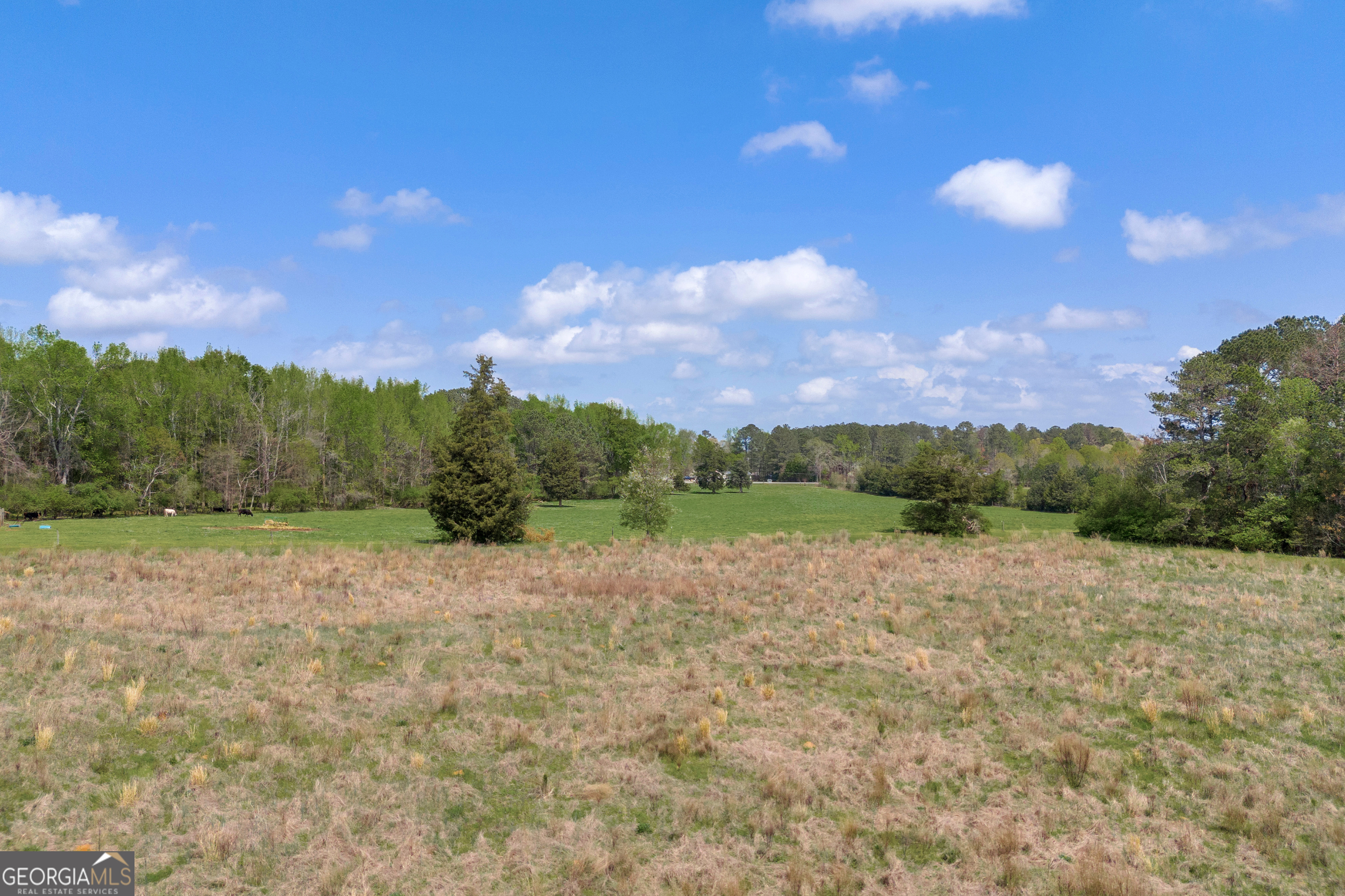 104 Howington Road Winterville, GA 30683 - Photo 42 of 74 a view of an outdoor space and a yard