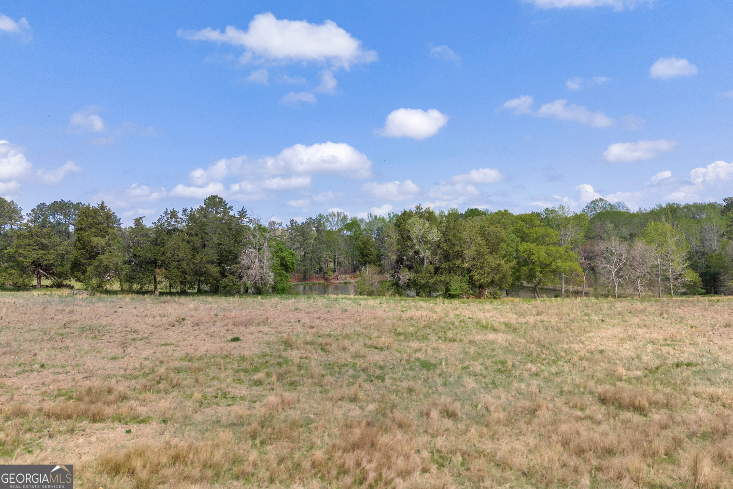 104 Howington Road Winterville, GA 30683 - Photo 50 of 74 a view of an outdoor space with a lake view