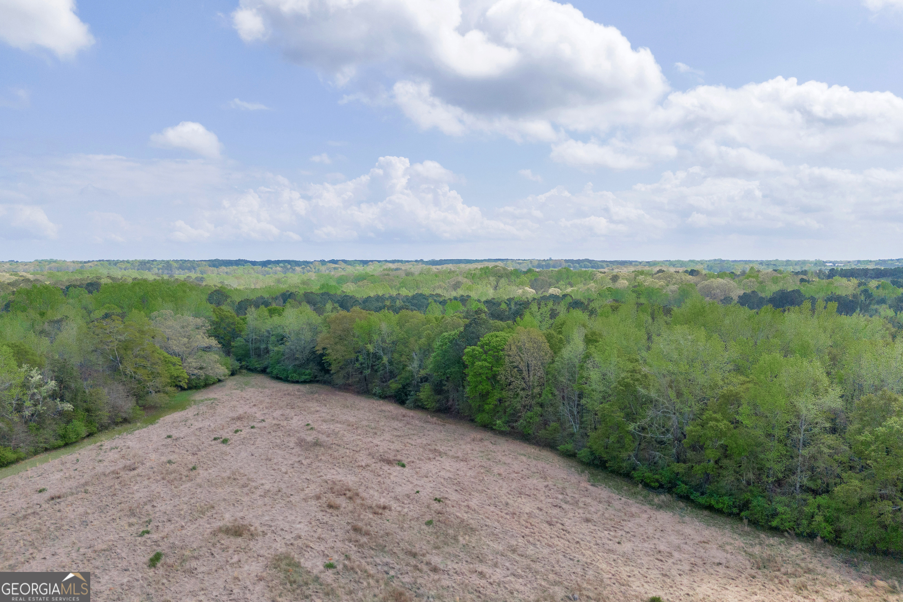 104 Howington Road Winterville, GA 30683 - Photo 51 of 74 a view of a big yard with plants and a lake view