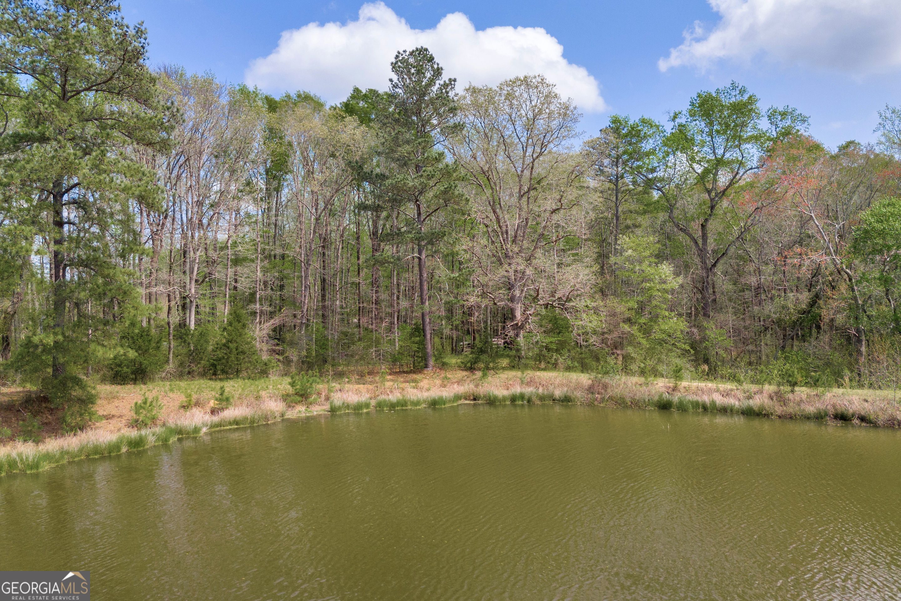 104 Howington Road Winterville, GA 30683 - Photo 58 of 74 a view of lake with green space