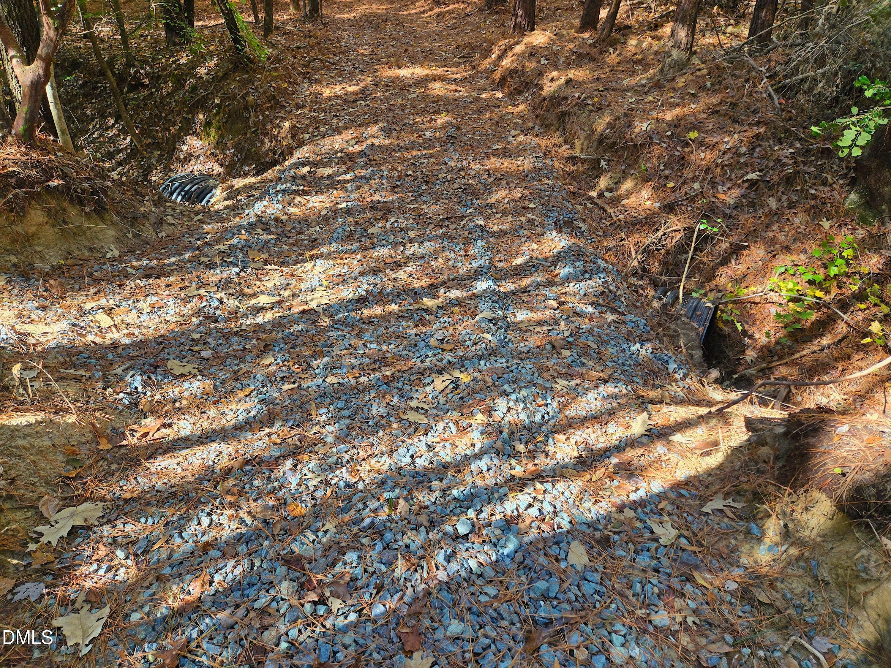 328 John Headen Road Moncure, NC 27559 - Photo 11 of 19 a view of tree