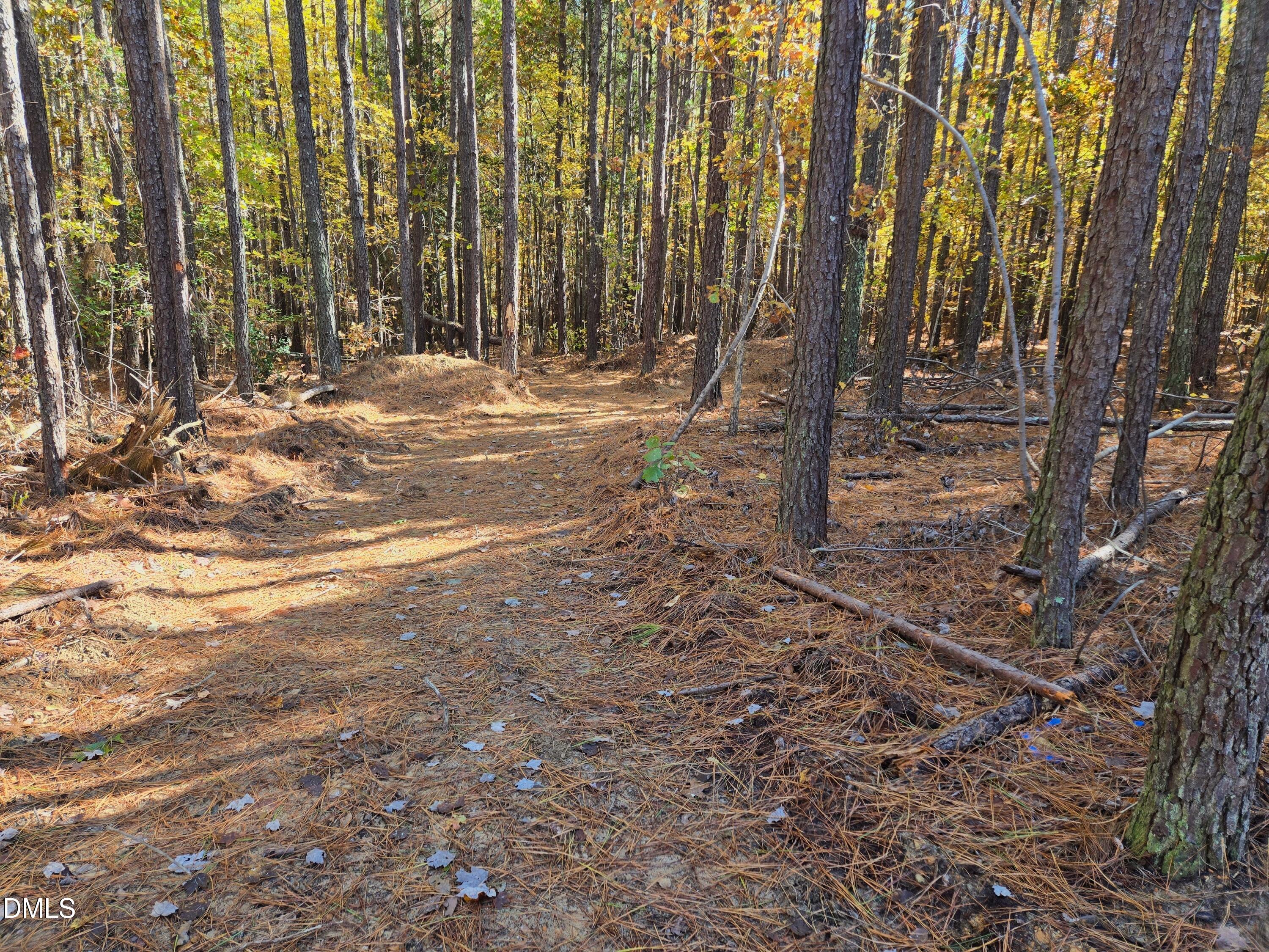 328 John Headen Road Moncure, NC 27559 - Photo 12 of 19 a view of outdoor space with trees