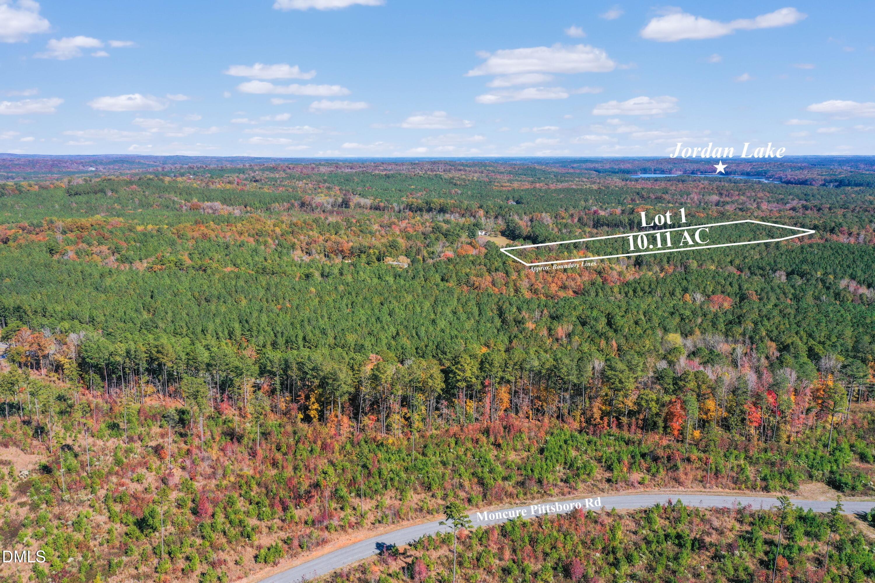 328 John Headen Road Moncure, NC 27559 - Photo 14 of 19 a view of a city with lots of trees