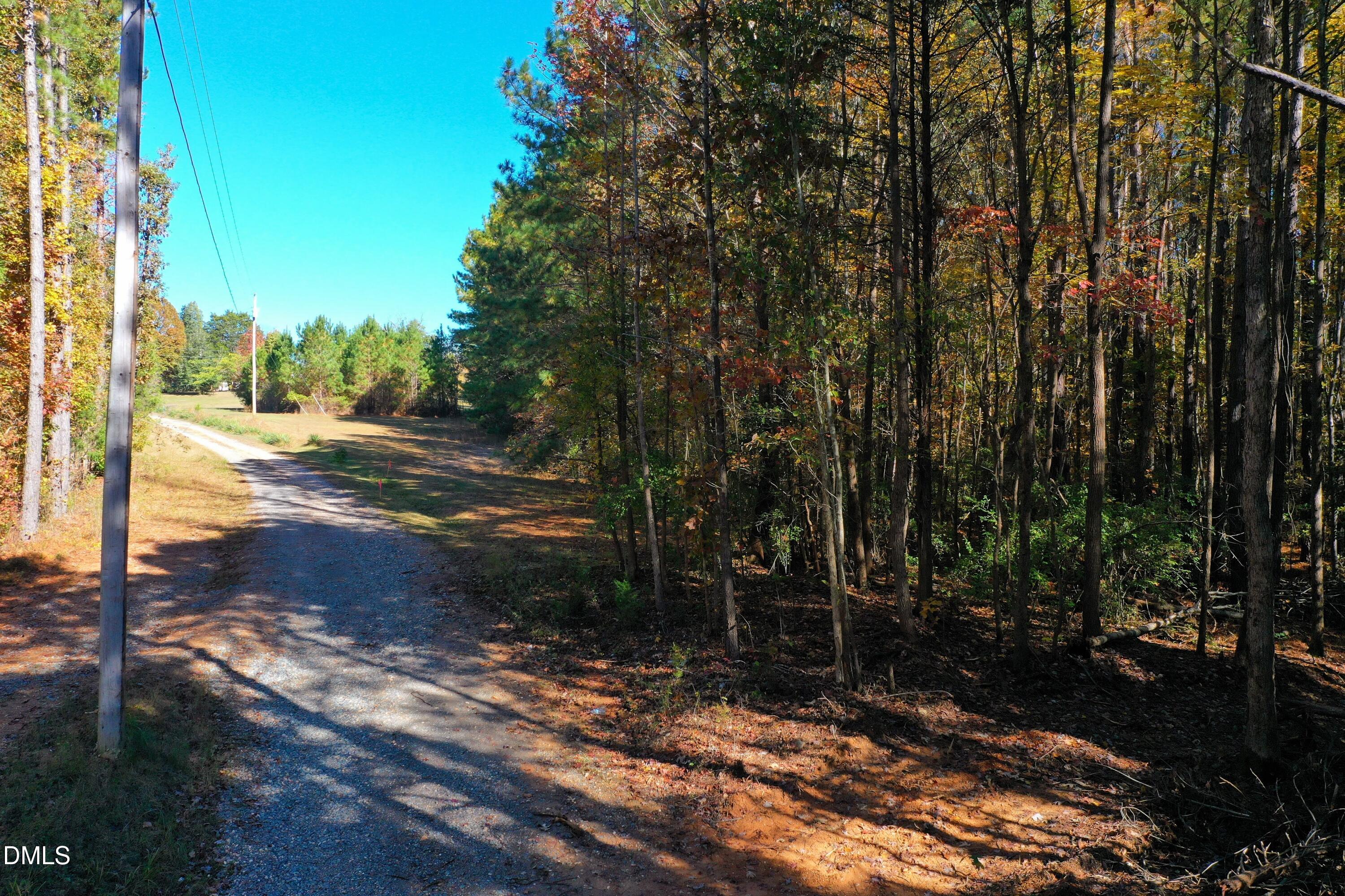 328 John Headen Road Moncure, NC 27559 - Photo 3 of 19 a view of a yard with plants and trees