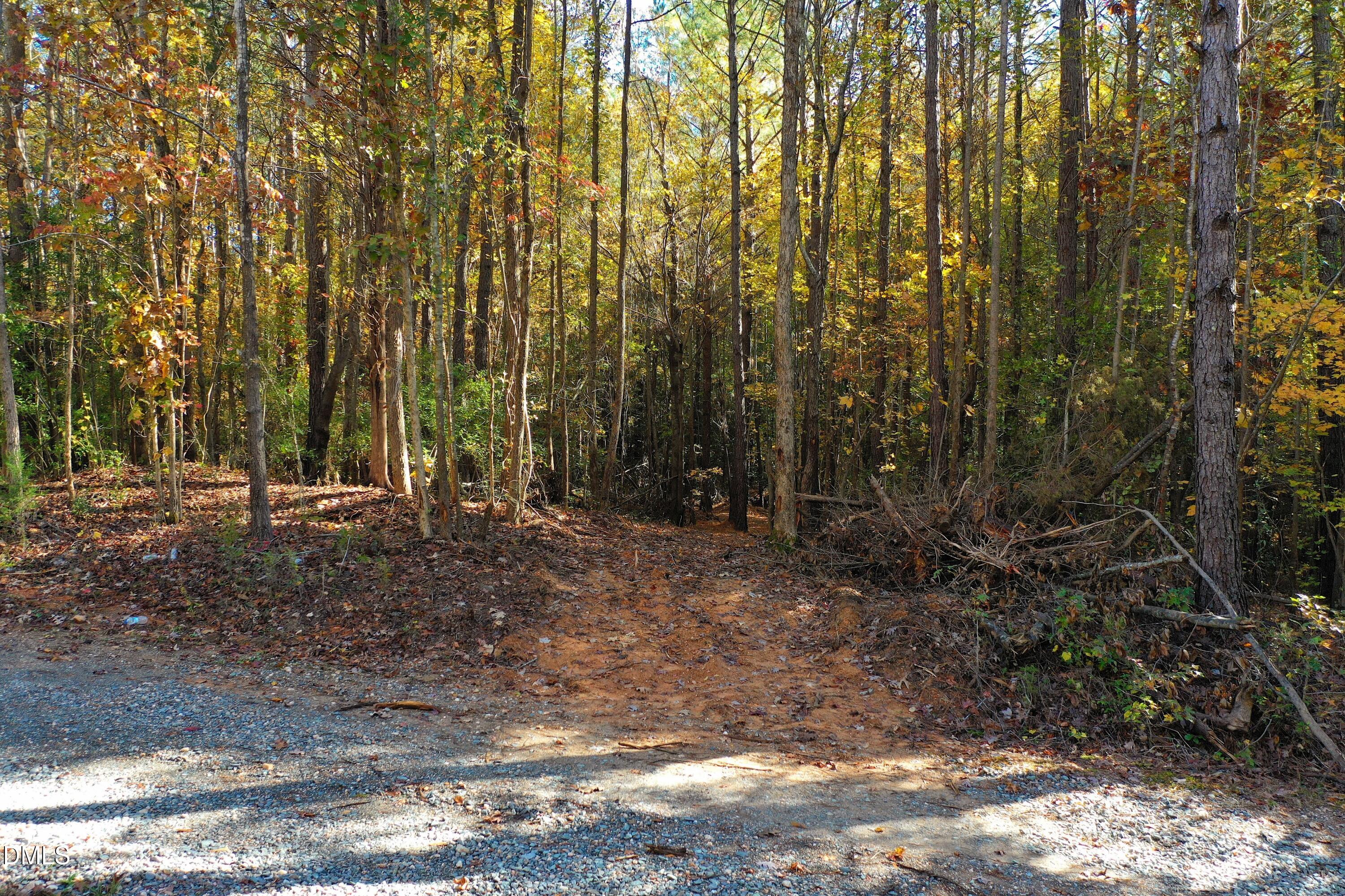 328 John Headen Road Moncure, NC 27559 - Photo 4 of 19 a view of outdoor space with lots of trees
