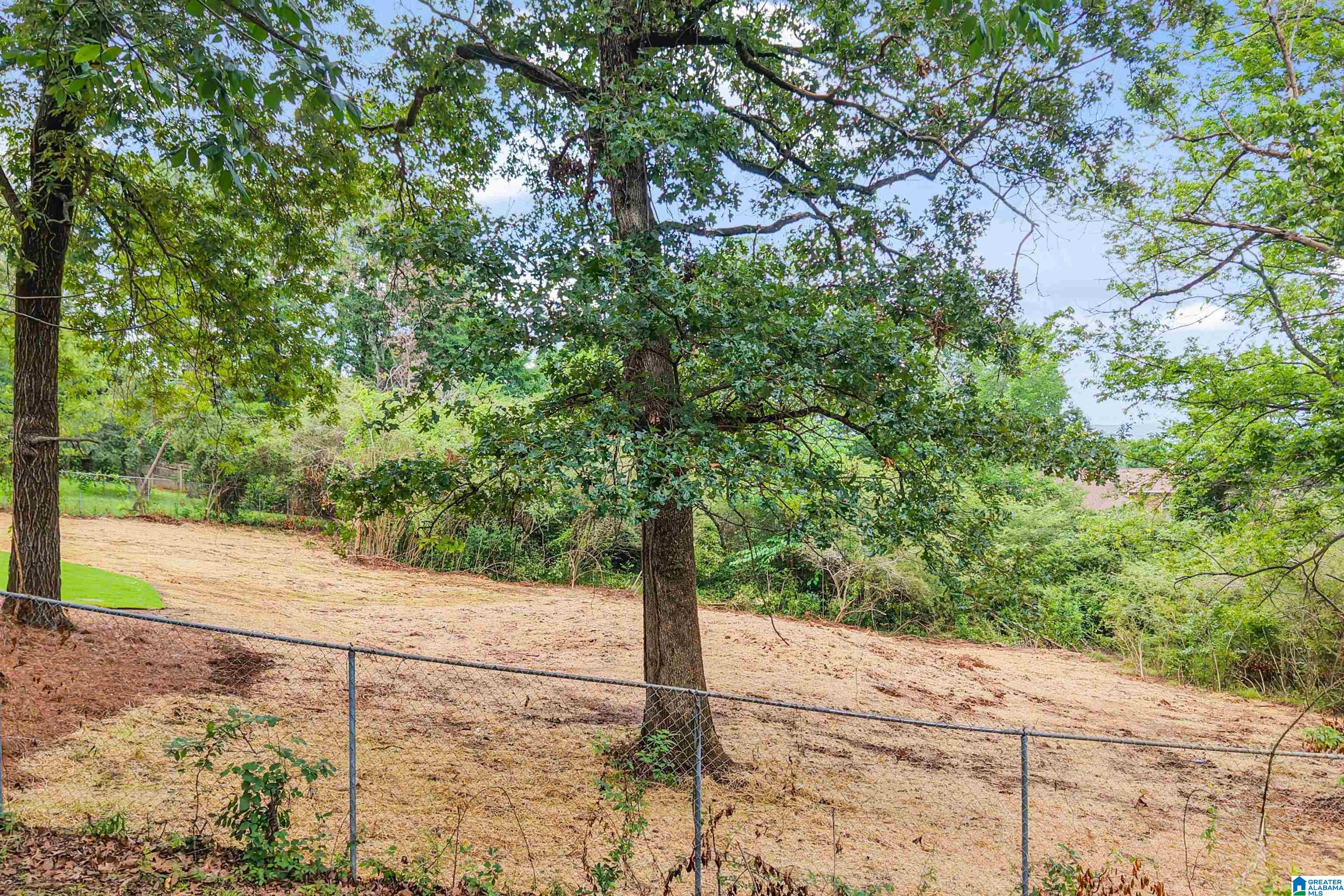 135 Shades Crest Road Birmingham, AL 35226 - Photo 58 of 62