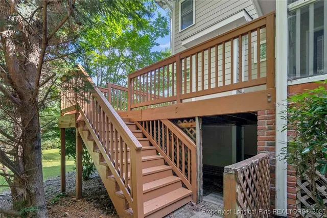 a view of a forest with trees in the background