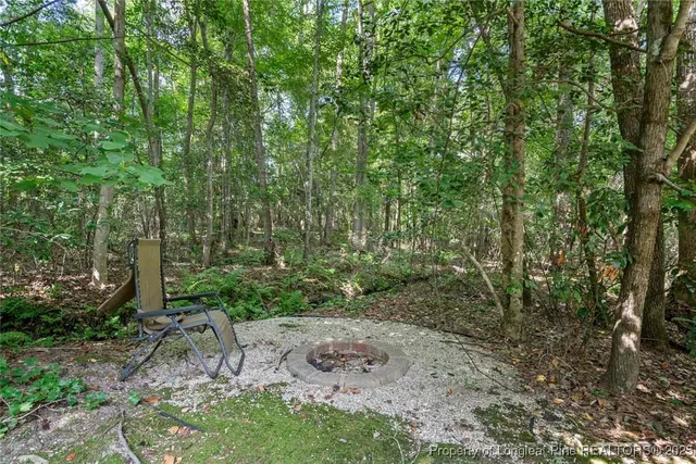 a view of a house with a yard plants and large tree