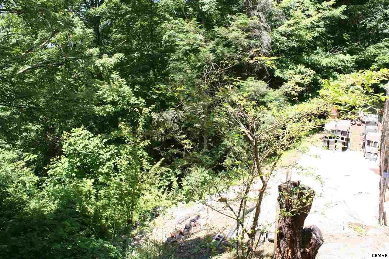 160 Greasy Cove Road Cosby, TN 37722 - Photo 14 of 30 Gallery Image 14