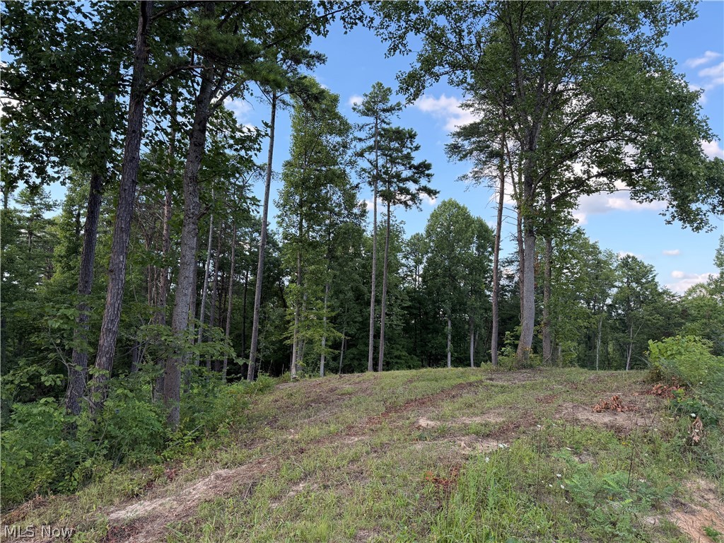 0 Fisher Ridge Road Fleming, OH 45729 - Photo 2 of 9 View from road