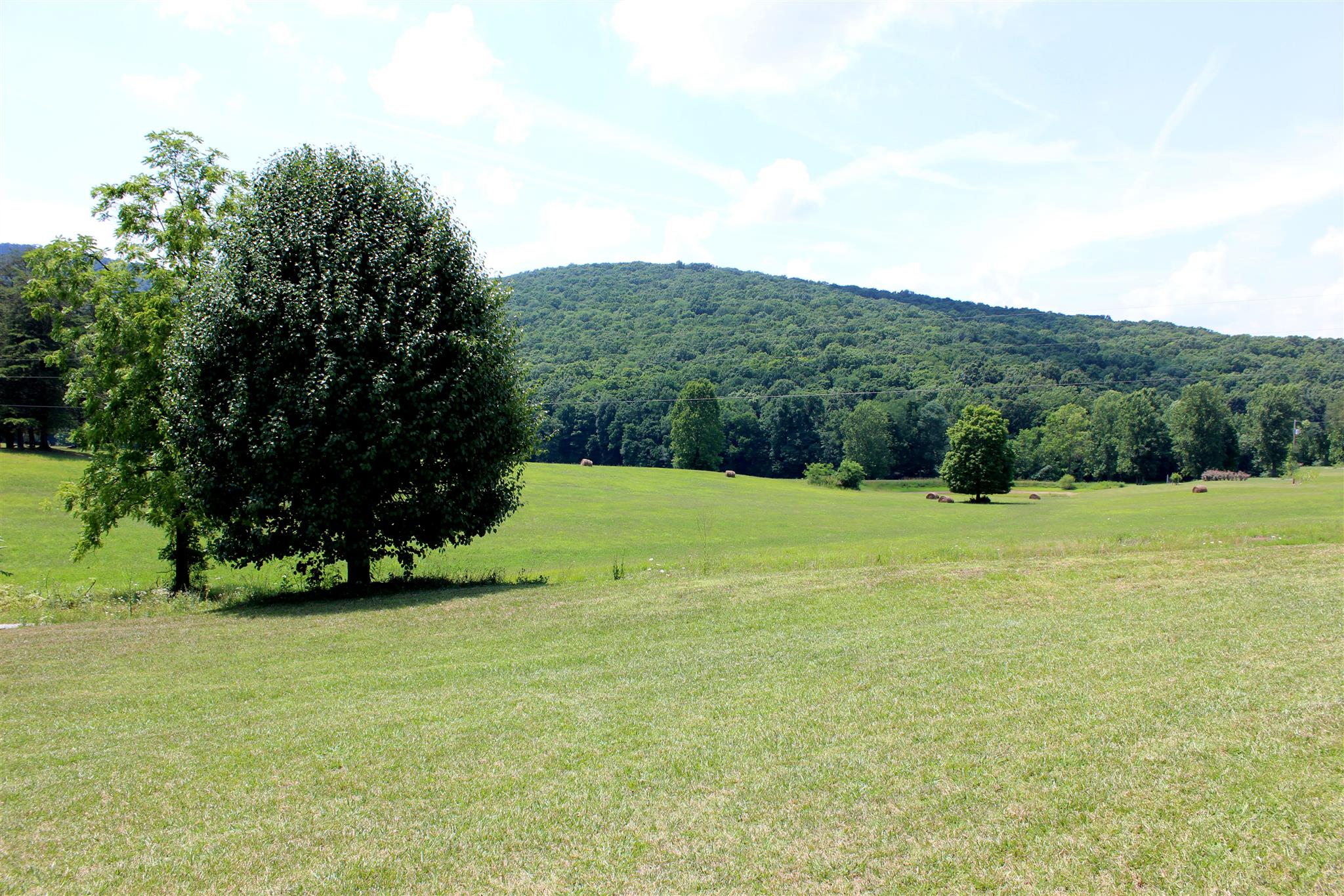 429 Williams Road Morrison, TN 37357 - Photo 22 of 30 a view of a field with an trees