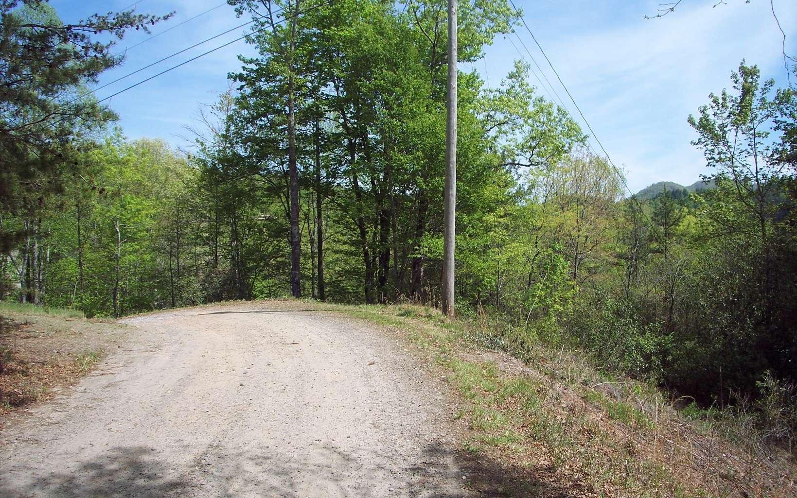 Lot 1 Long Branch Road Marble, NC 28905 - Photo 3 of 4 Additional View