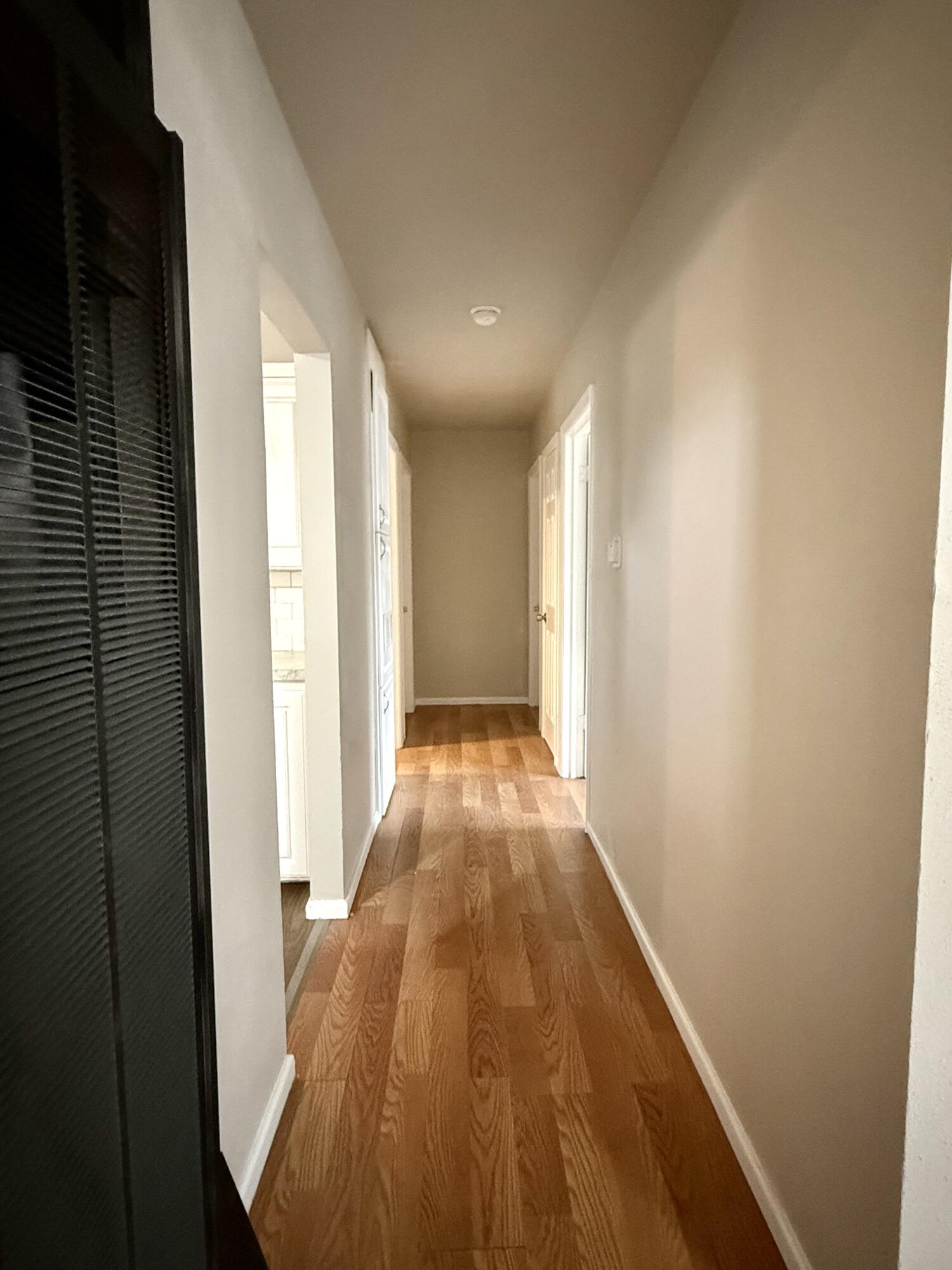 505 East 37th Street Lubbock, TX 79404 - Photo 7 of 16 IMG_4729