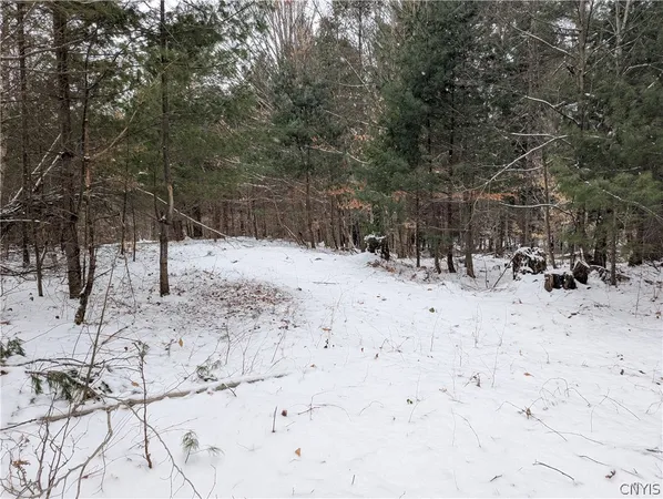 $32,000 | 7131 Maple Drive, Watson, NY 13343
