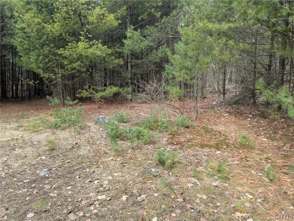 $32,000 | 7131 Maple Drive, Watson, NY 13343