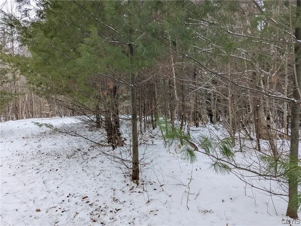 $32,000 | 7131 Maple Drive, Watson, NY 13343