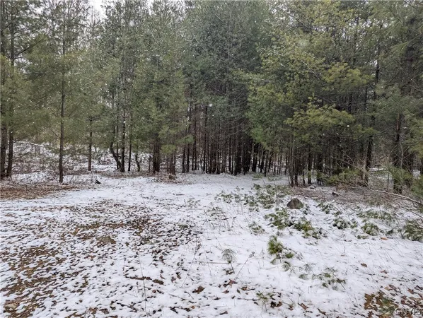 $32,000 | 7131 Maple Drive, Watson, NY 13343