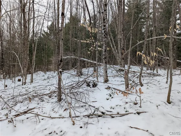 $32,000 | 7131 Maple Drive, Watson, NY 13343